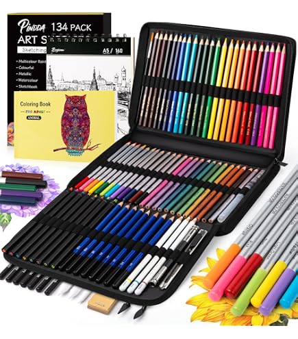 Amazon.com: pindda 134PCS Art Supplies Sketching Kit, Drawing Set